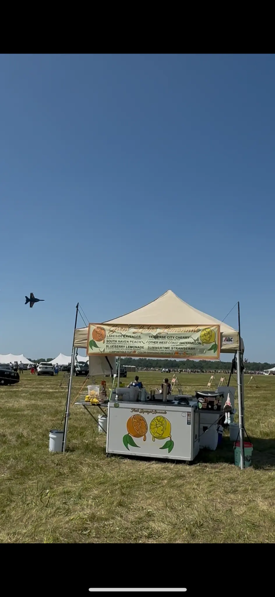 Thunder Over Michigan — lemonade event photograph