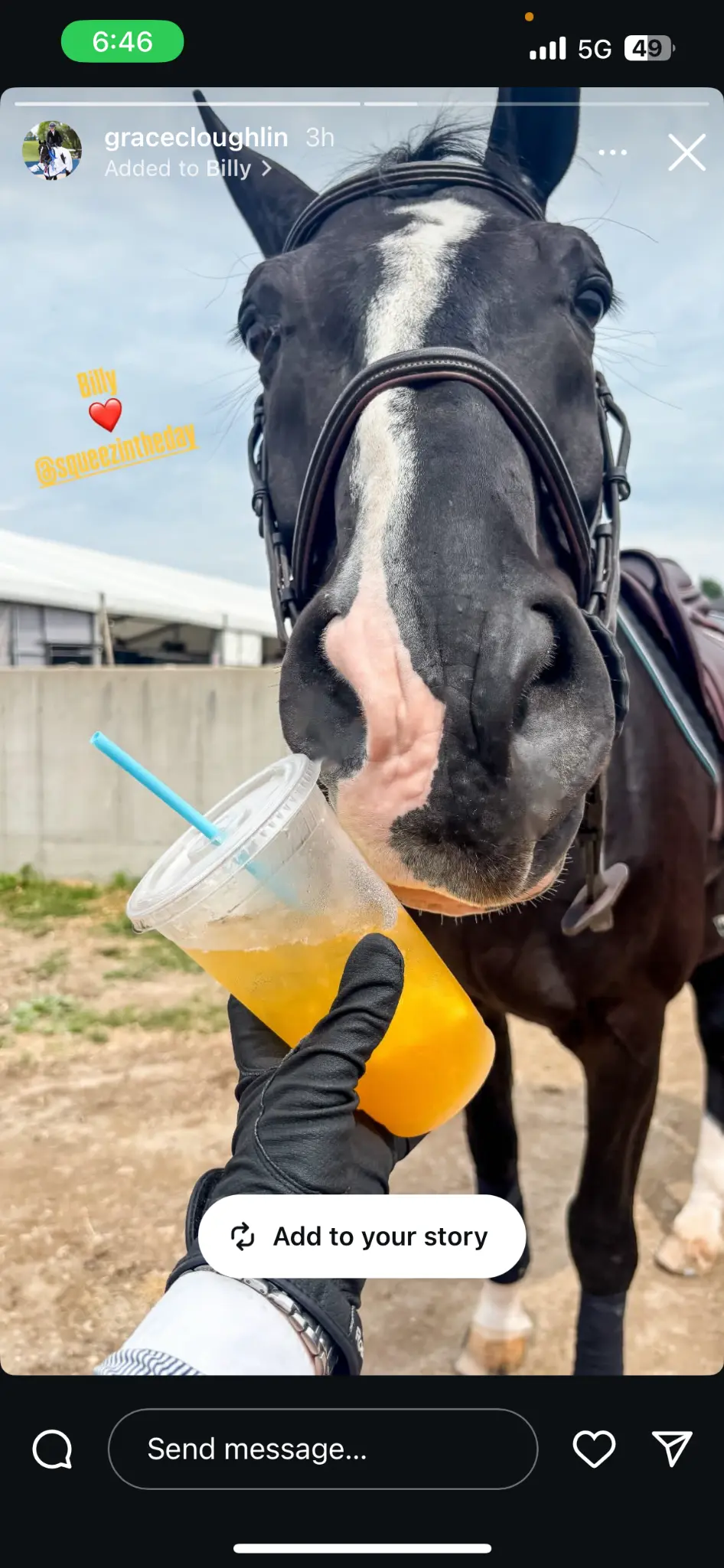 A horse enjoying lemonade at a Great Lakes Lemonade booth