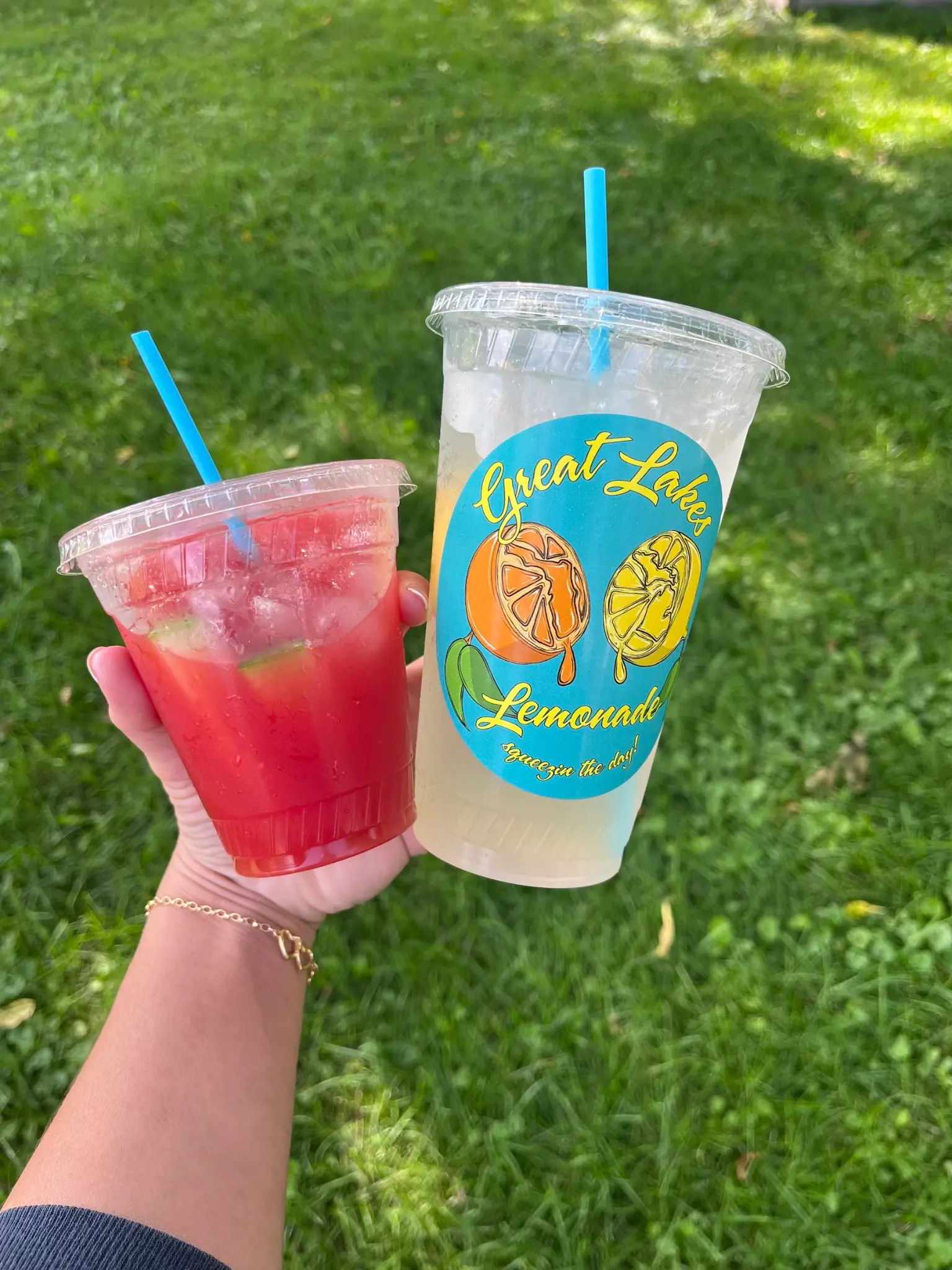 Refreshing watermelon and classic lemonade