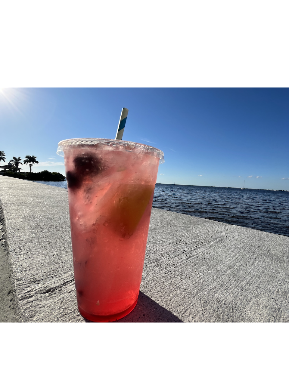Peace River Blackberry lemonade with fresh fruit