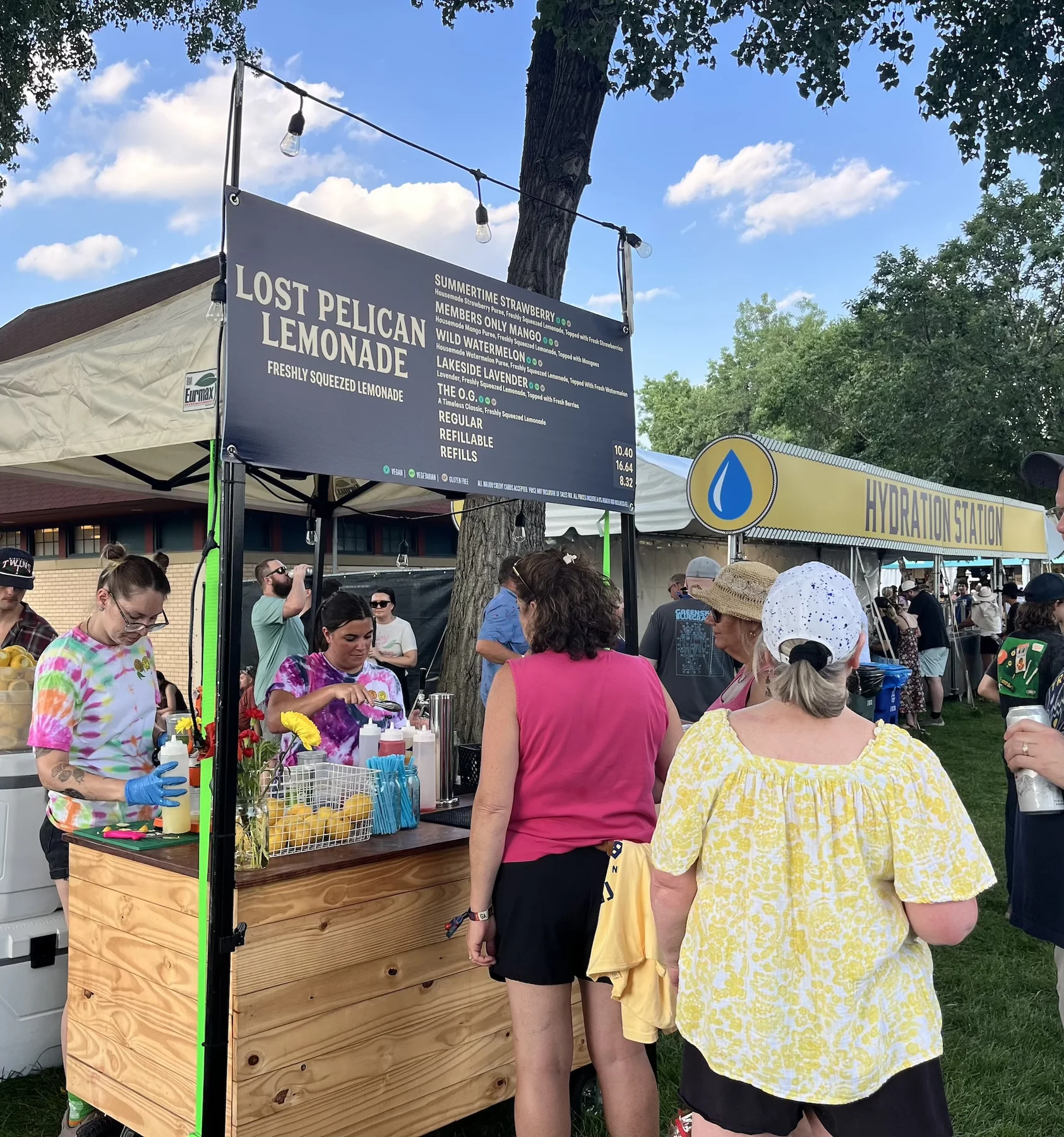 Lost Pelican Lemonade festival photograph supplied by the team